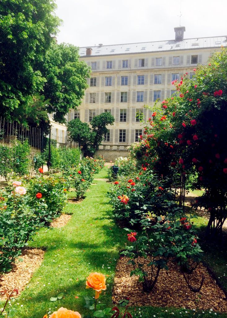 Entretien - Paysagistes Les Jardins du Roy Paris