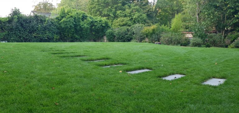 Engazonnement - Paysagistes Les Jardins du Roy Paris