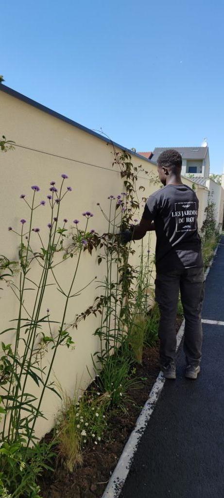 Entretien - Paysagistes Les Jardins du Roy Paris