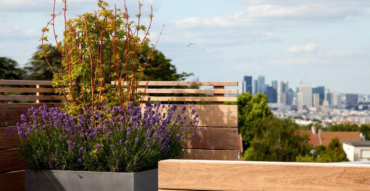 Terrasses - Paysagistes Les Jardins du Roy Paris