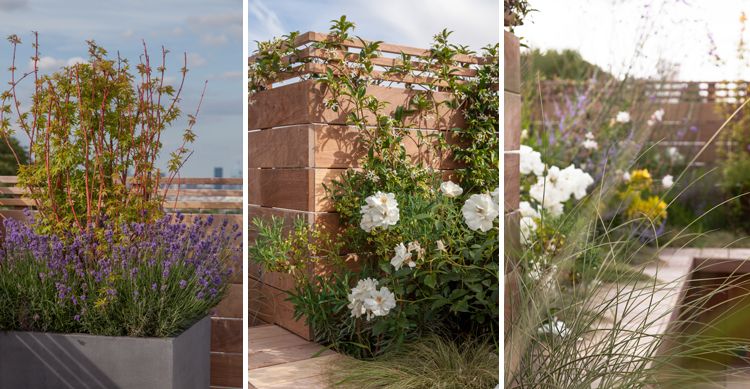 Terrasses - Paysagistes Les Jardins du Roy Paris