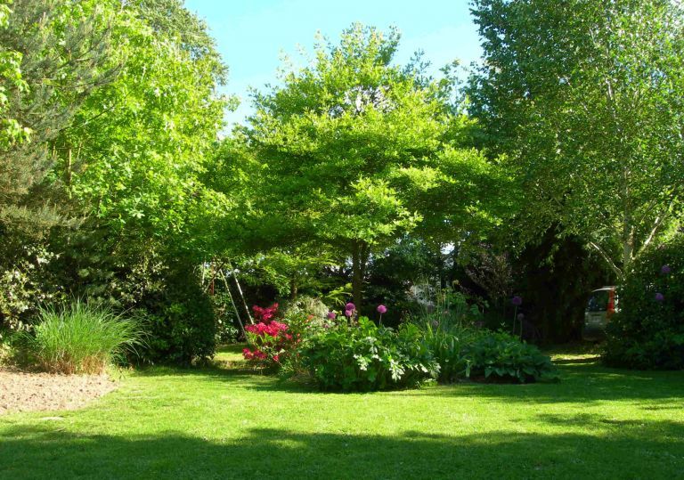 Engazonnement - Paysagistes Les Jardins du Roy Paris