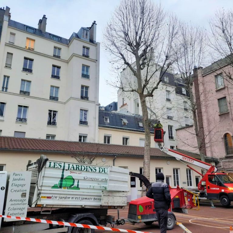 Abattages et élagages - Paysagistes Les Jardins du Roy Paris