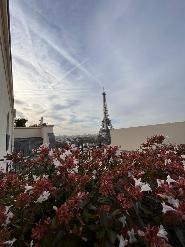 Entretien - Paysagistes Les Jardins du Roy Paris