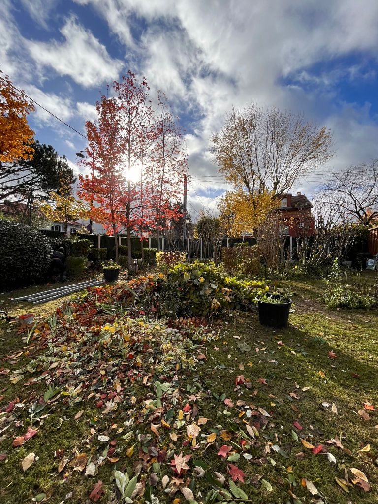 Entretien - Paysagistes Les Jardins du Roy Paris