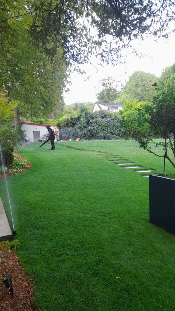 Entretien - Paysagistes Les Jardins du Roy Paris