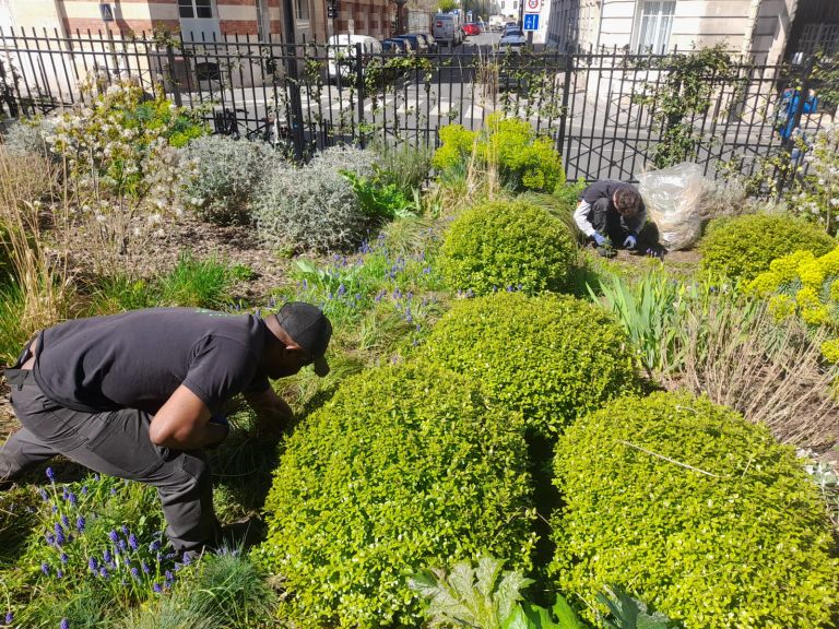 Entretien - Paysagistes Les Jardins du Roy Paris