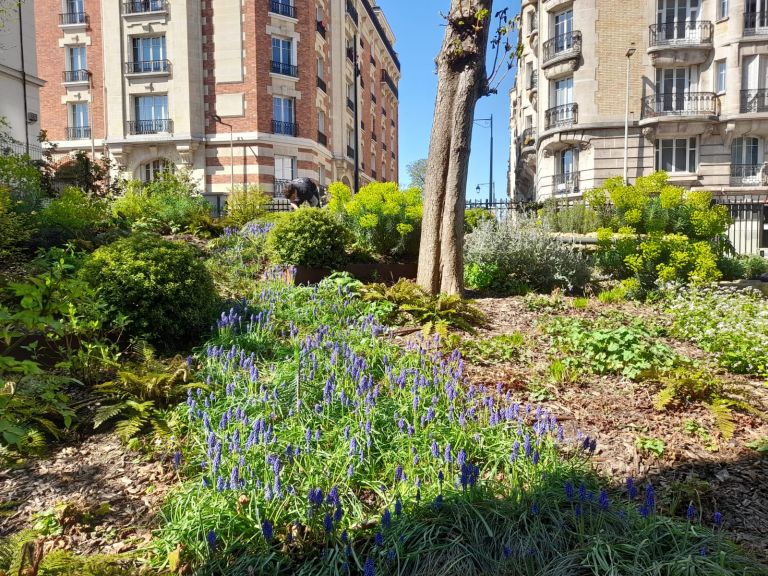 Entretien - Paysagistes Les Jardins du Roy Paris