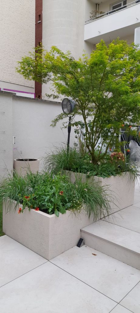 Un espace vert pensé pour la ville - Paysagistes Les Jardins du Roy Paris